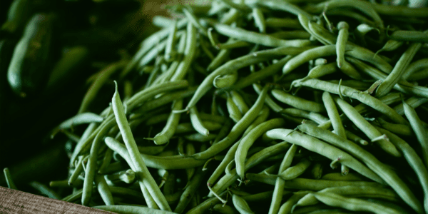 Green Beans - Quarter to Half Paint