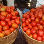 Basket of Grade A tomatoes in Lagos