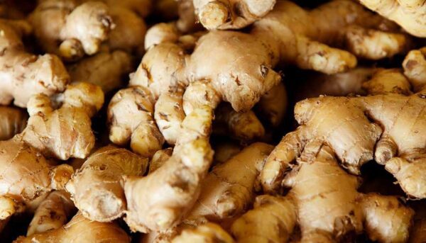 Turmeric