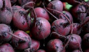 Beetroot
