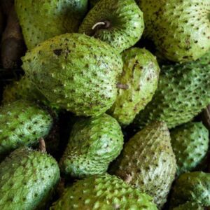 Soursop