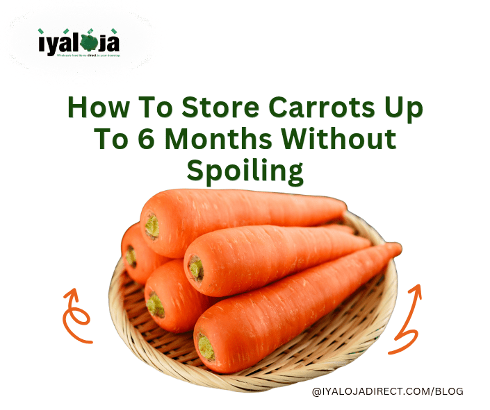 How To Store Carrots Up To 6 Months Without Spoiling